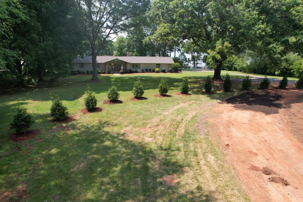 Yard Renovation