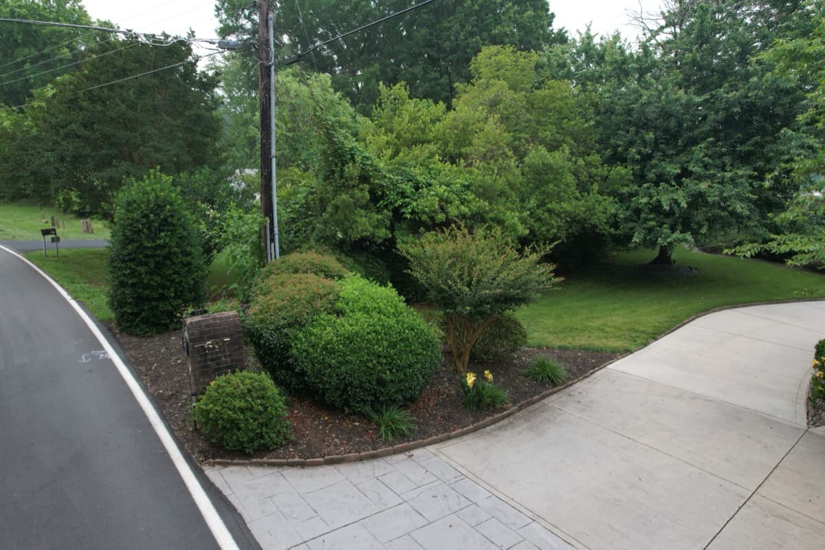 Before — Hedge Trimming & Mulch
