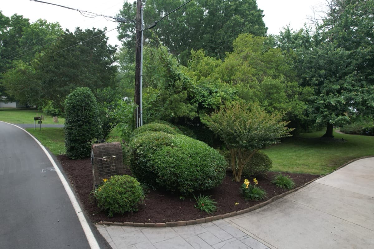 After — Hedge Trimming & Mulch