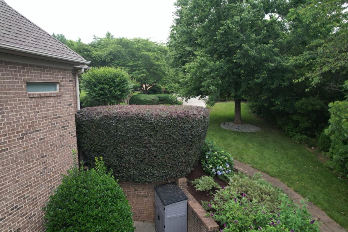 After — Hedge Trimming & Mulch