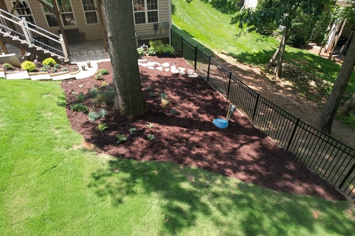 Tree & Shrub Planting