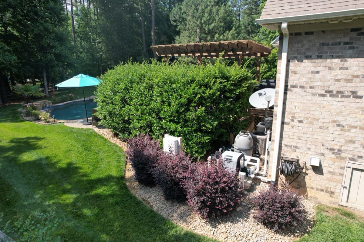 Before — Hedge Trimming