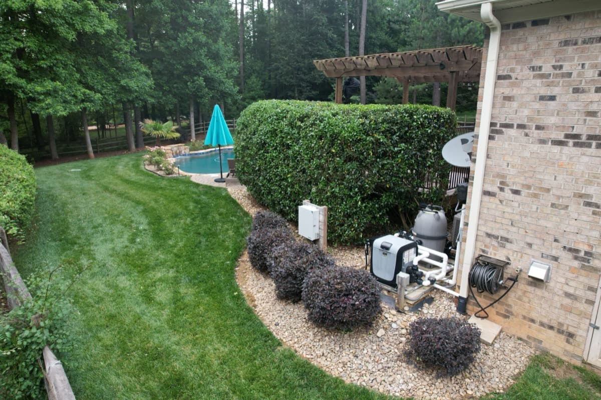 Tree Removal
