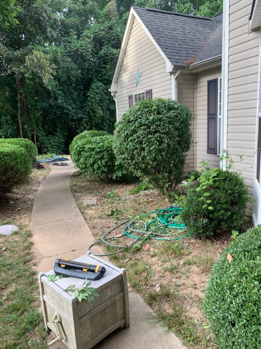 Before — Mulch Job