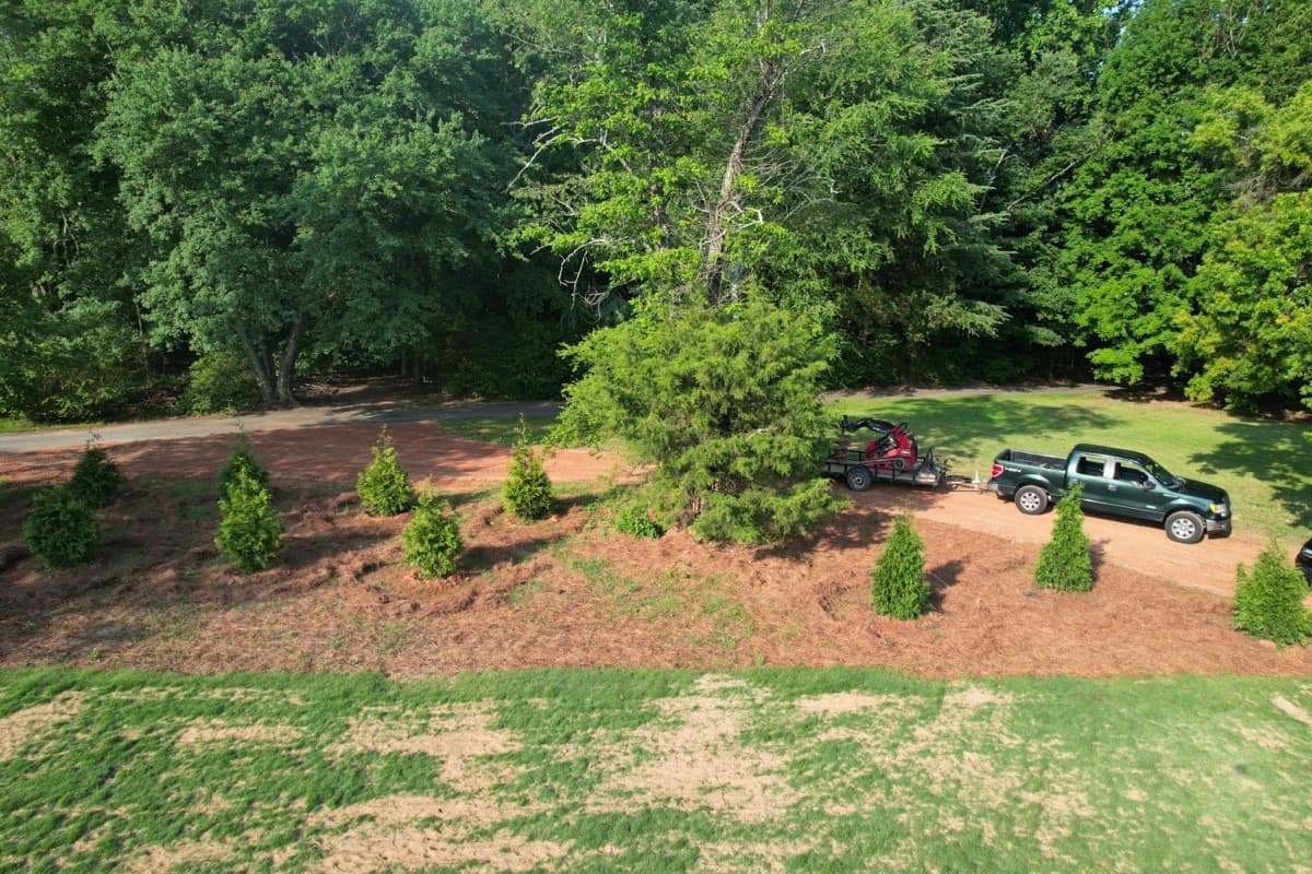 Tree & Shrub Planting project 4