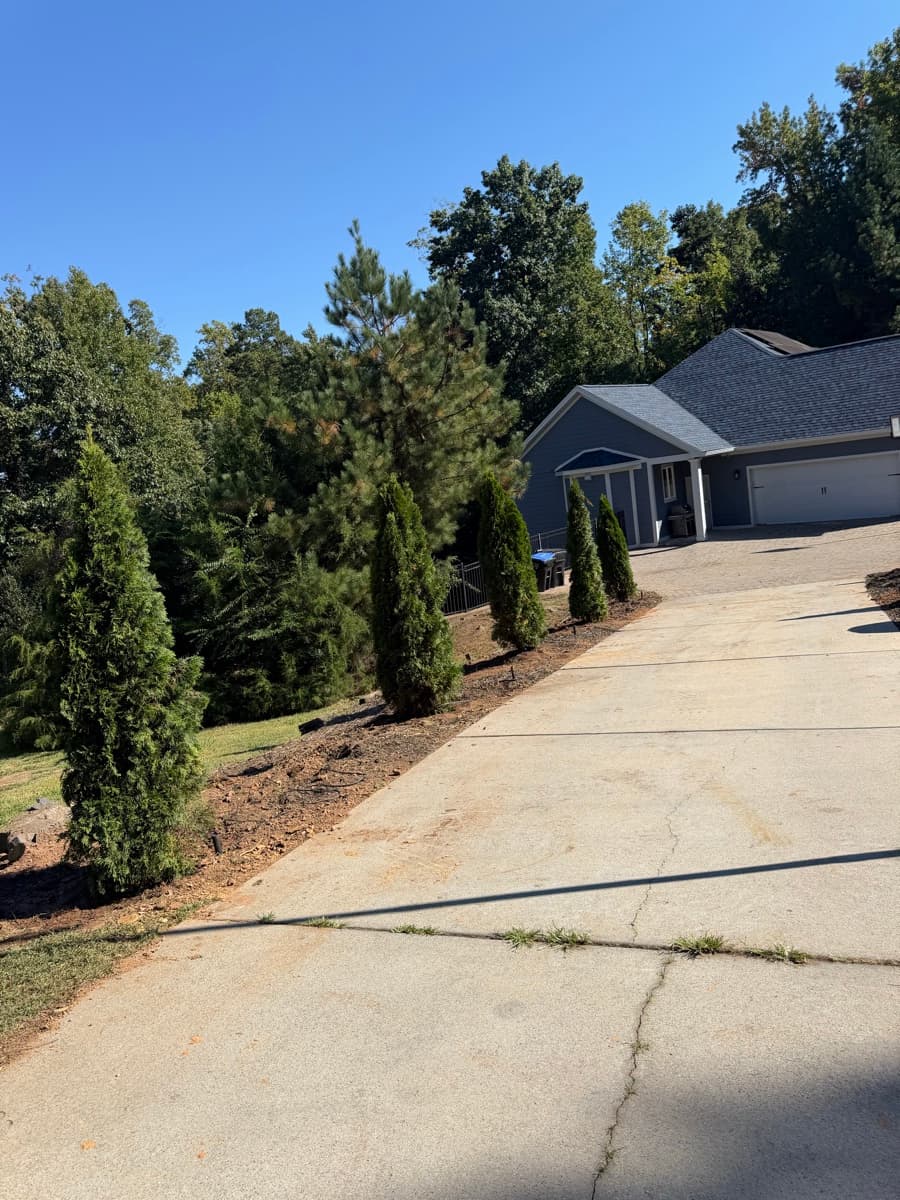 Tree & Shrub Planting project 5