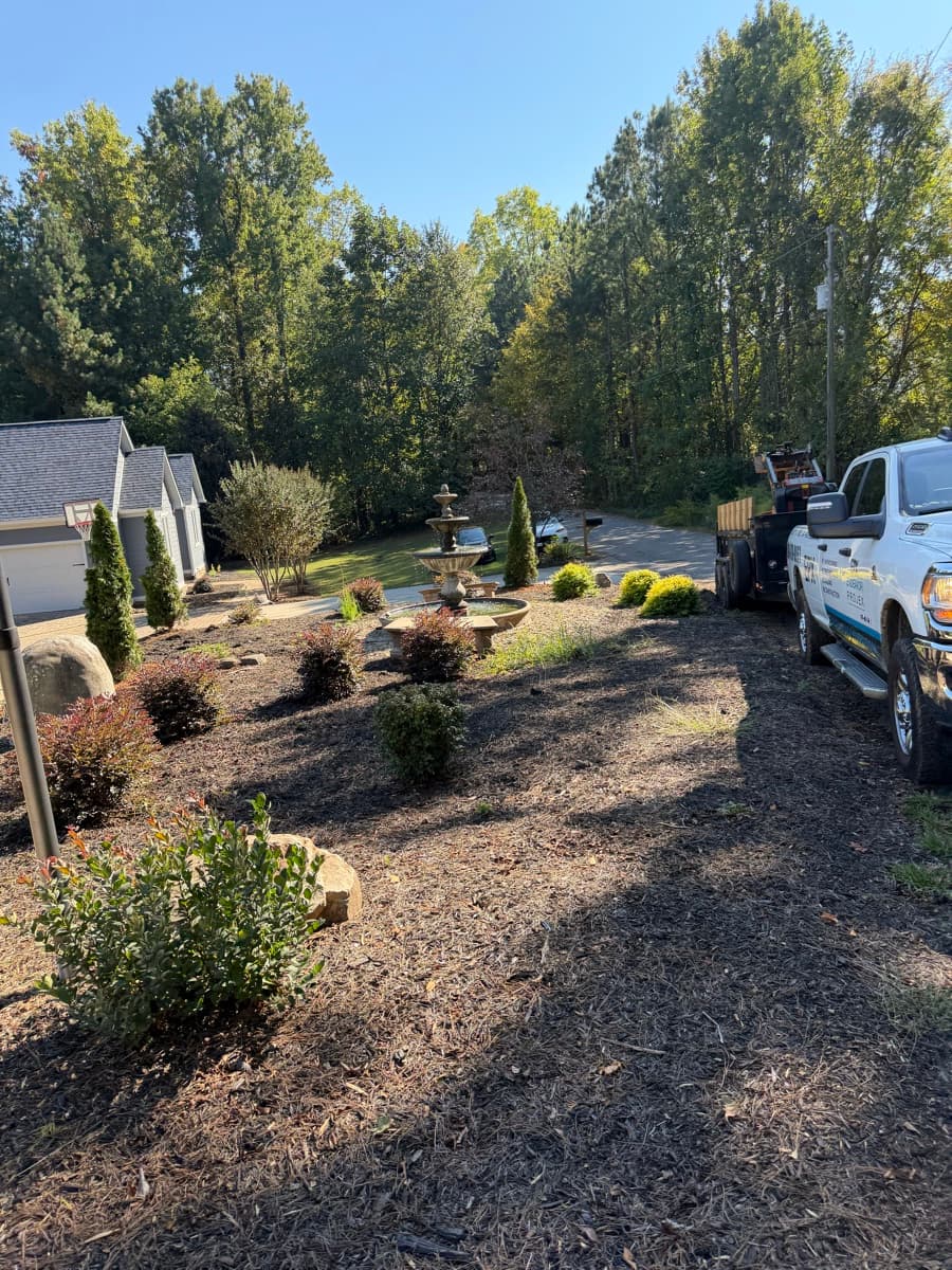 Tree & Shrub Planting project 6